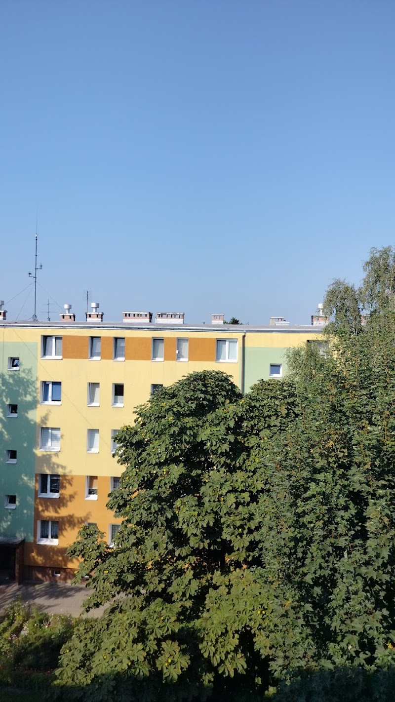 Zdjęcie firmy