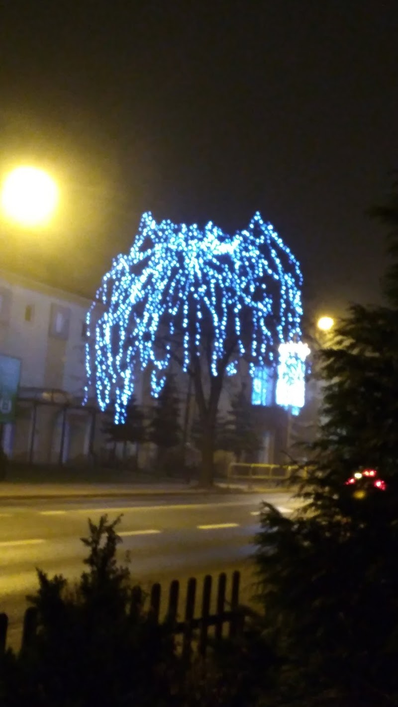 Zdjęcie firmy