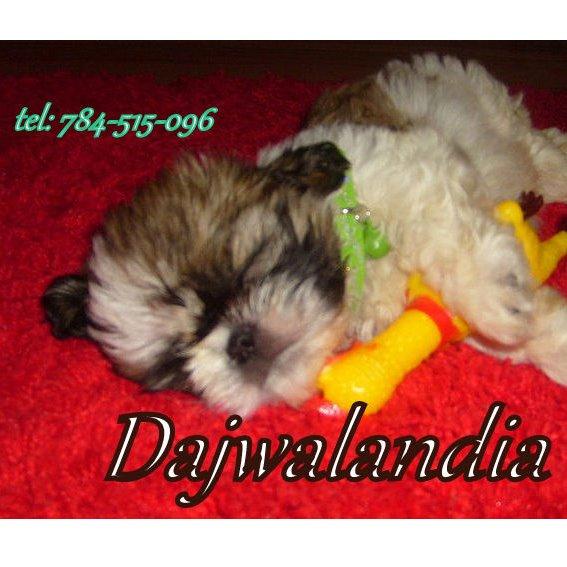 Zdjęcie firmy