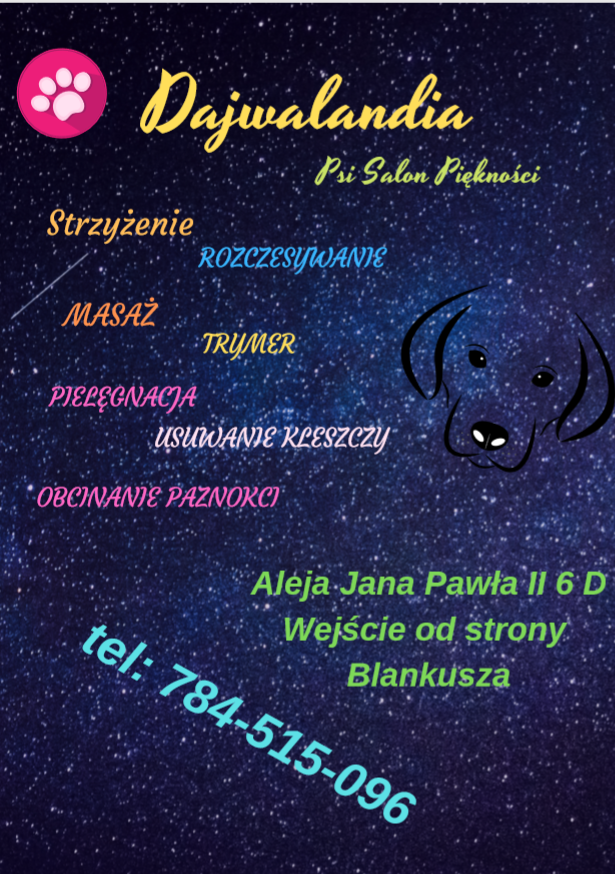 Zdjęcie firmy
