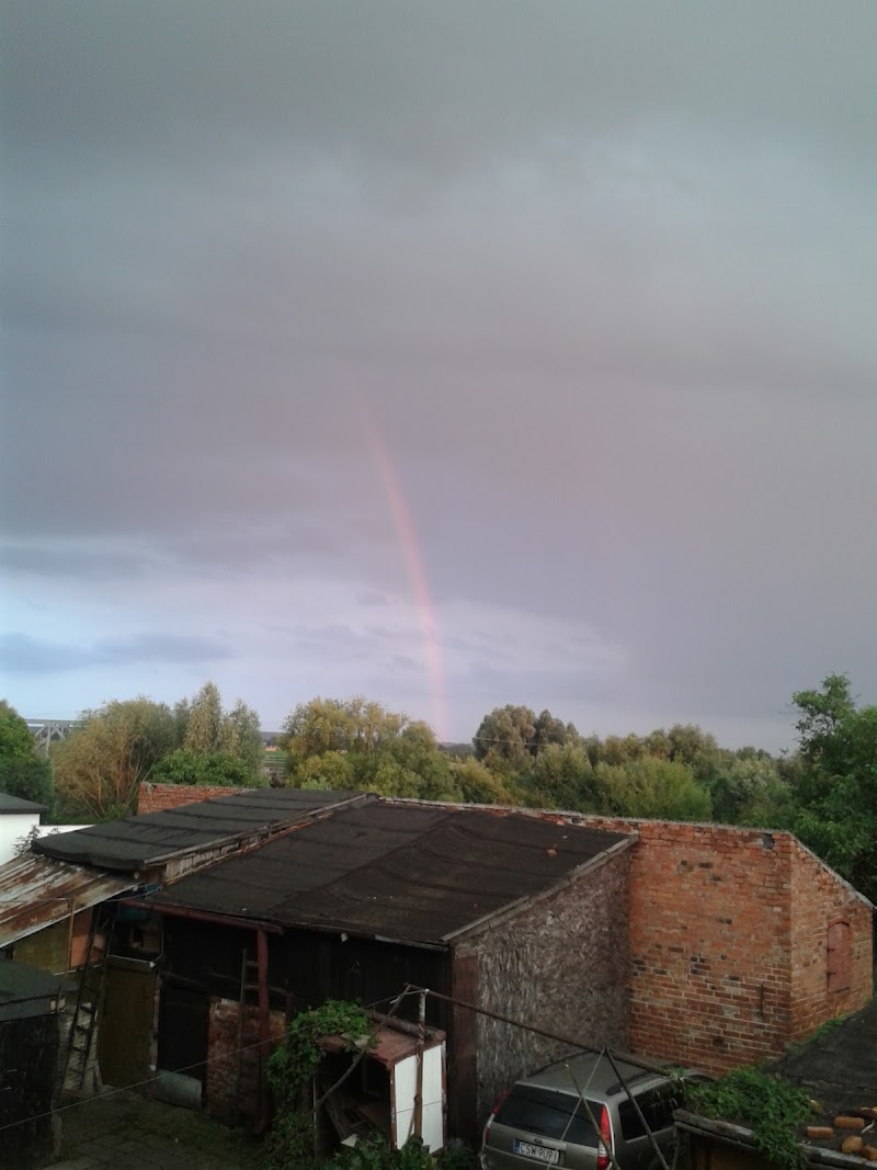 Zdjęcie firmy