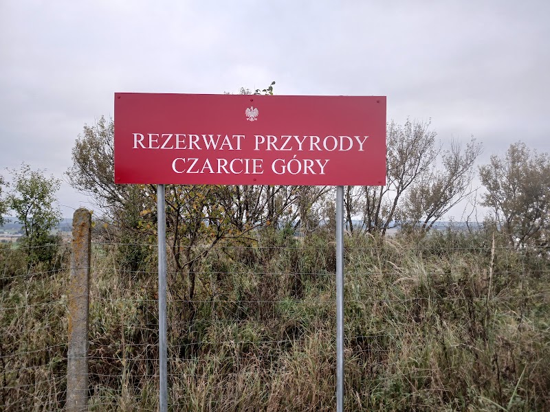 Zdjęcie firmy