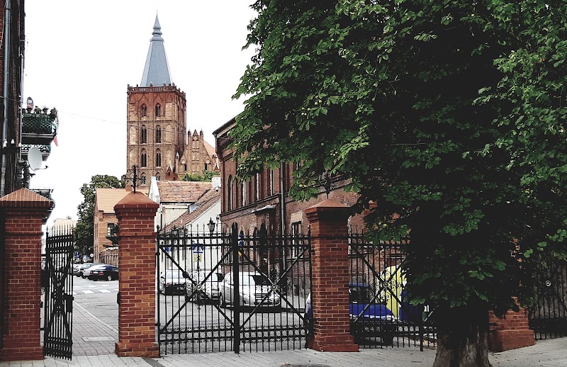 Zdjęcie firmy