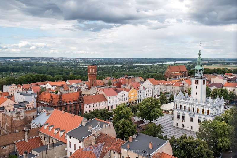 Zdjęcie firmy