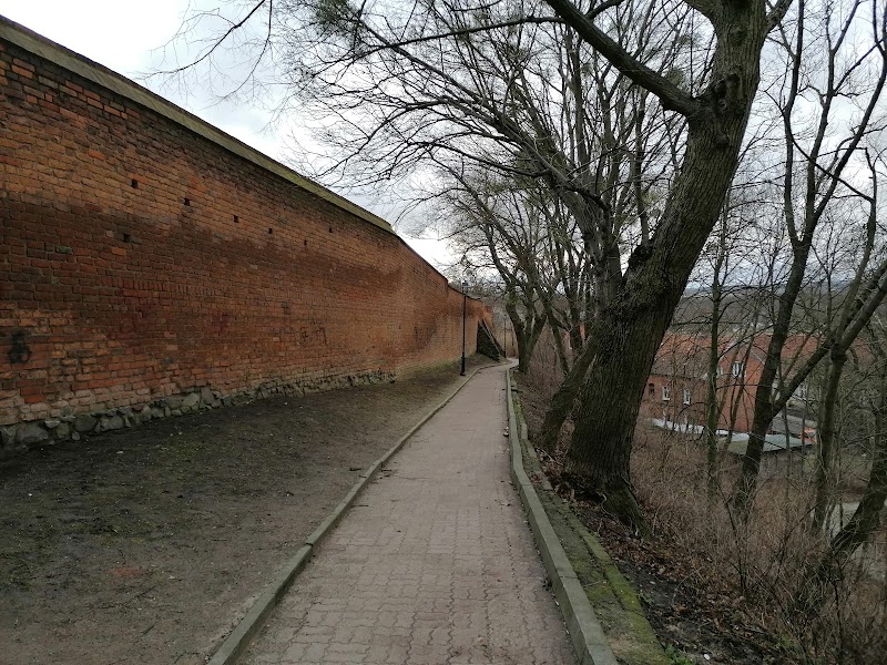 Zdjęcie firmy