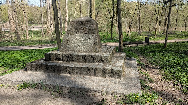Zdjęcie firmy