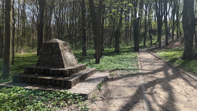 Zdjęcie firmy