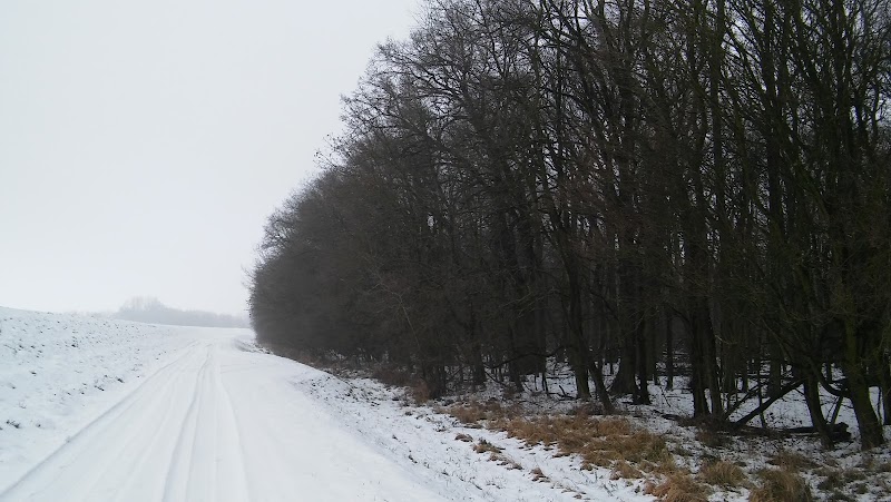 Zdjęcie firmy