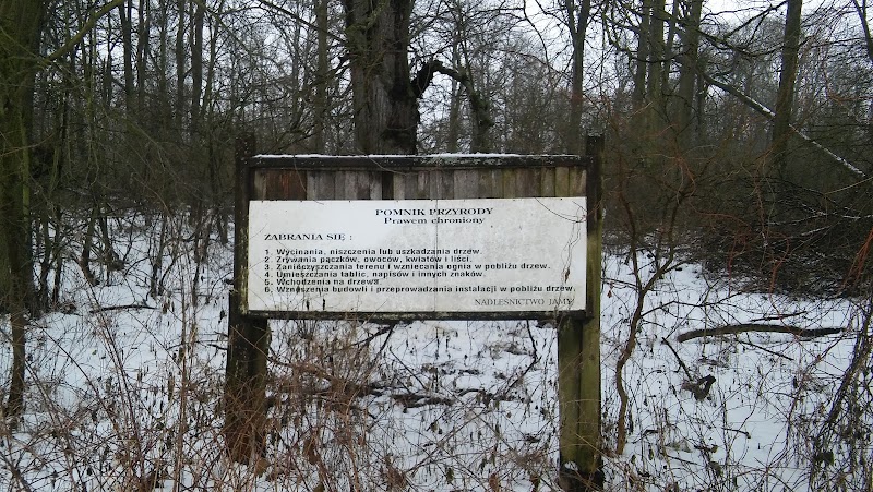 Zdjęcie firmy