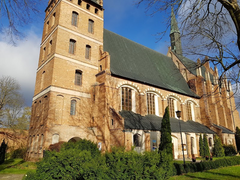 Zdjęcie firmy