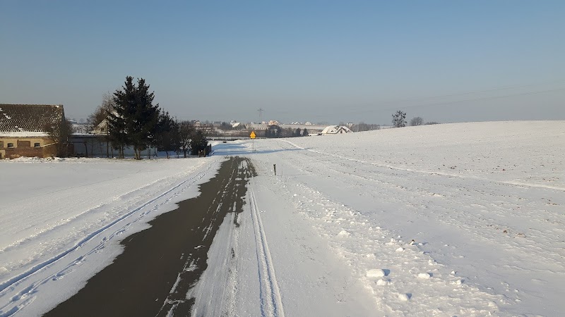 Zdjęcie firmy