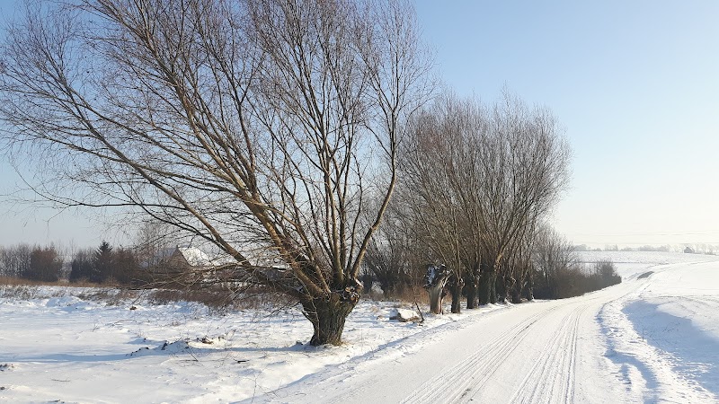 Zdjęcie firmy