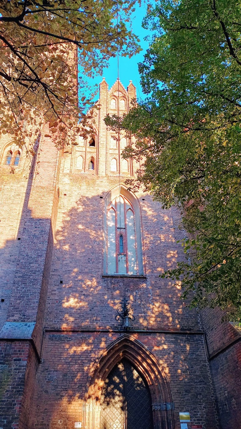 Zdjęcie firmy