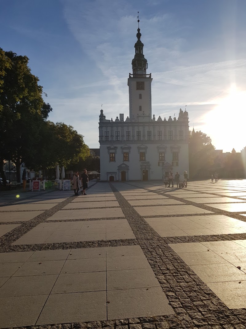 Zdjęcie firmy