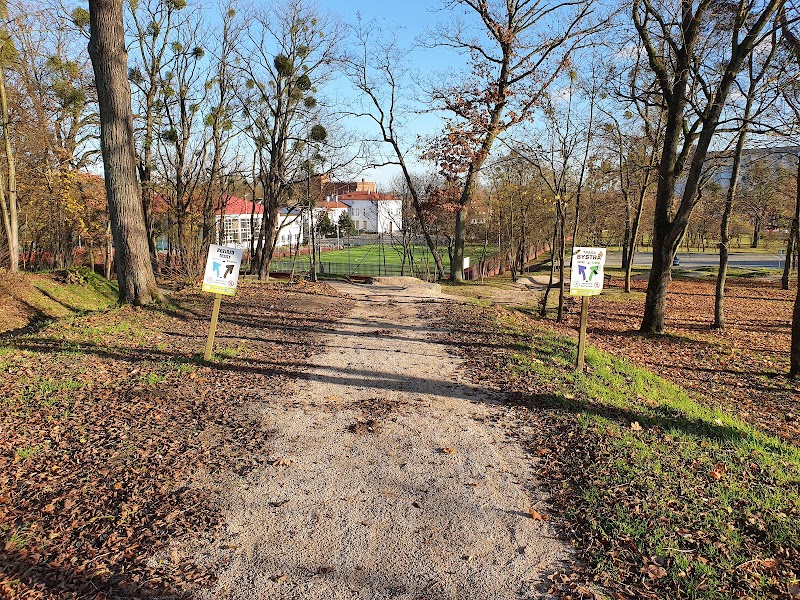 Zdjęcie firmy
