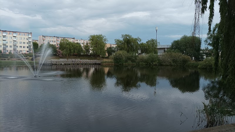 Zdjęcie firmy