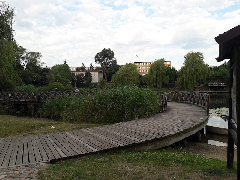 Zdjęcie firmy