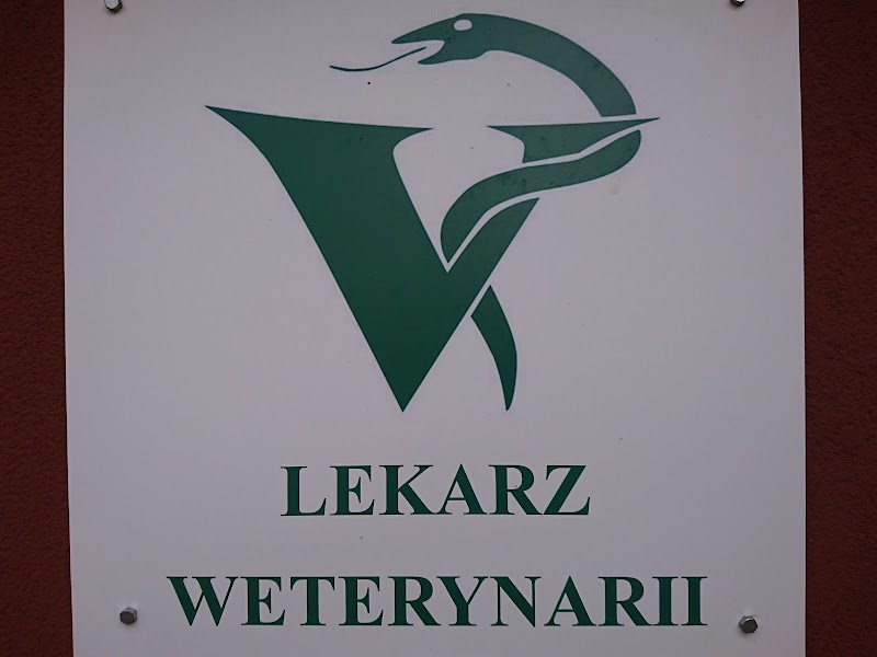 Zdjęcie firmy