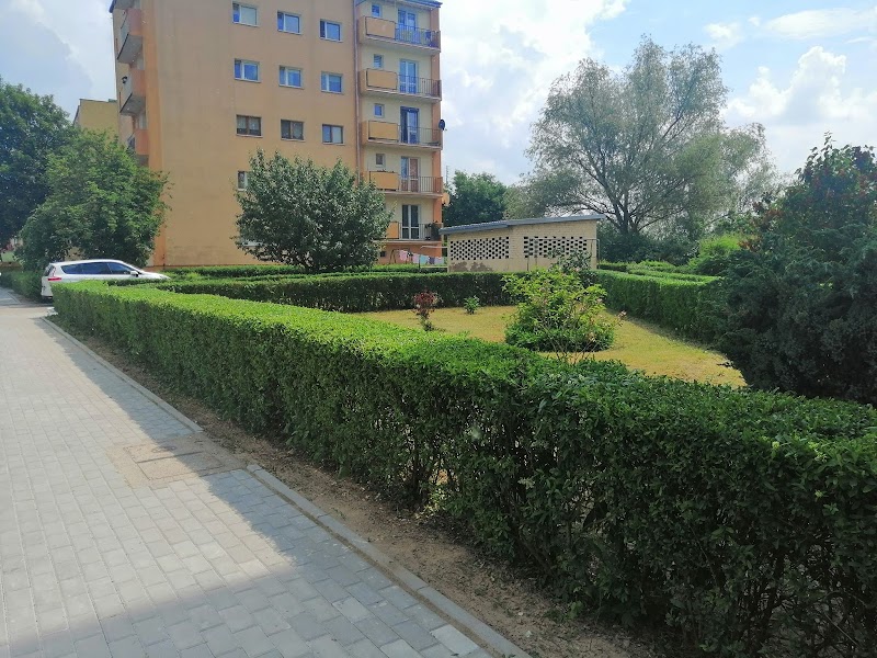 Zdjęcie firmy