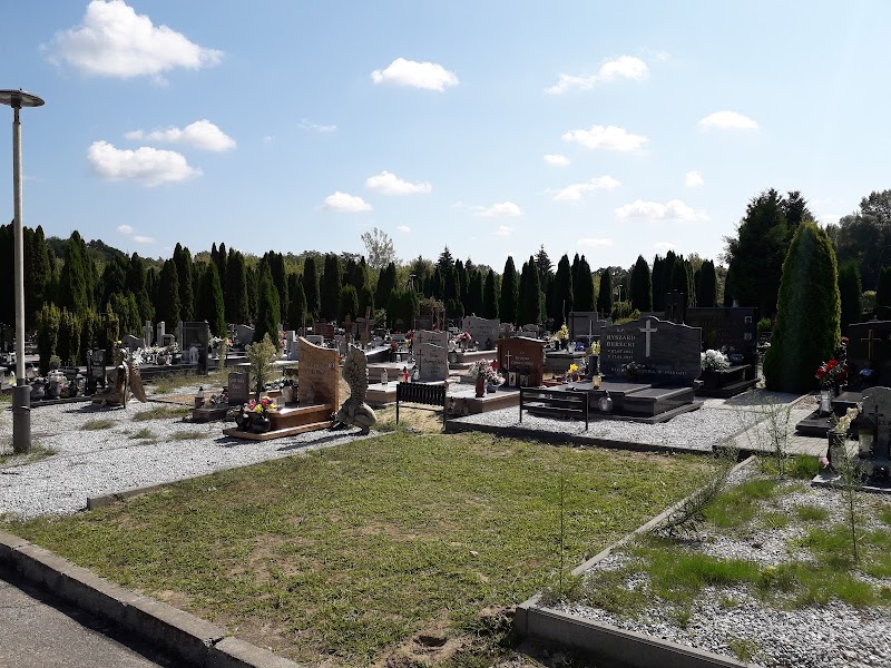 Zdjęcie firmy