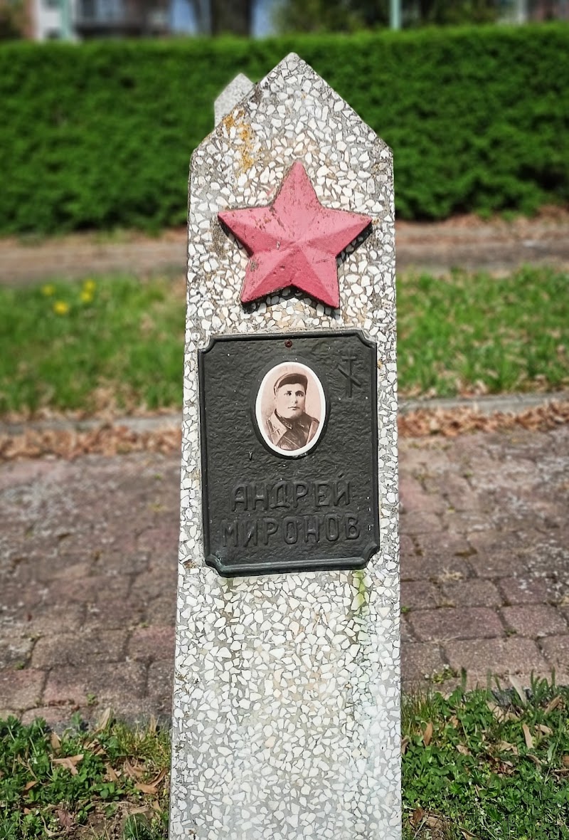 Zdjęcie firmy