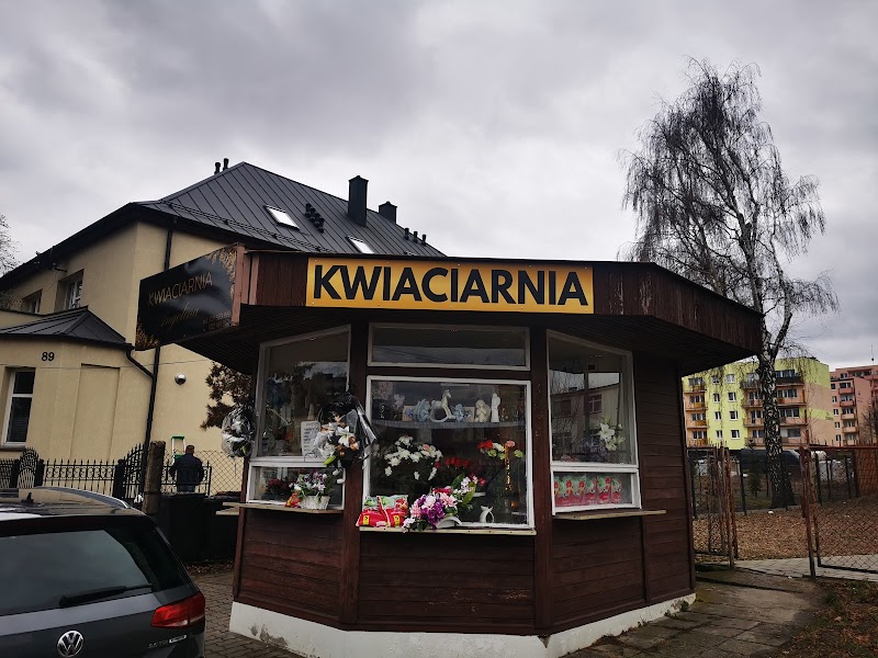 Zdjęcie firmy