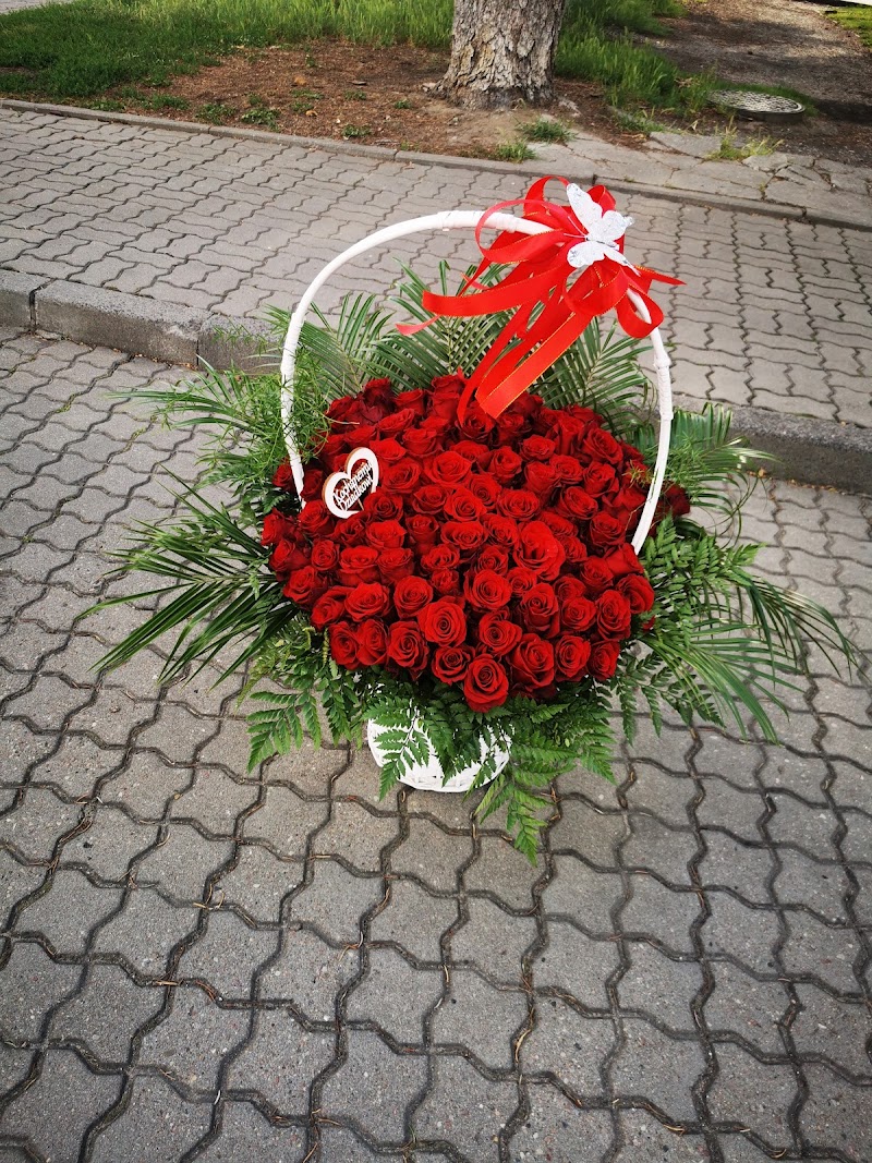 Zdjęcie firmy