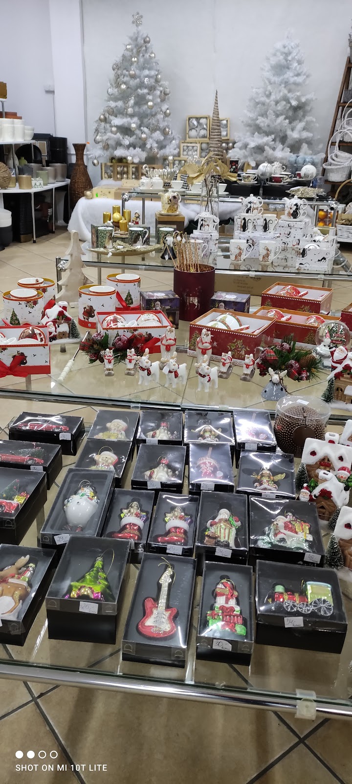 Zdjęcie firmy